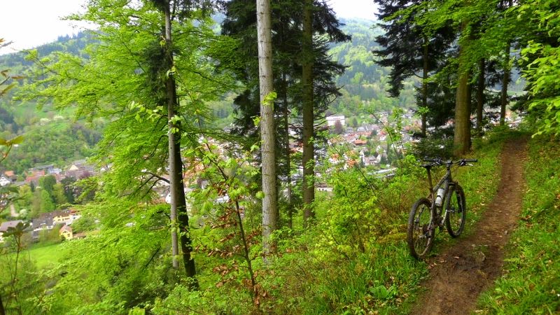 DSCI0116 (800x450).jpg