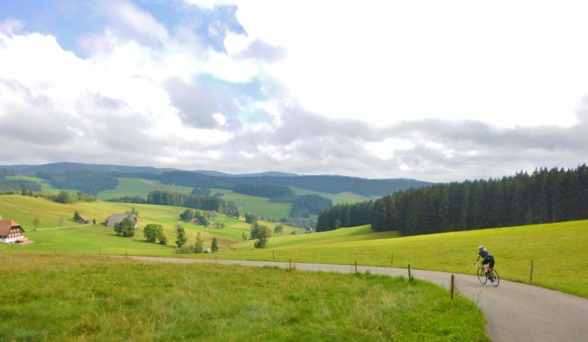 DSCI0119 (2) (1280x745).jpg