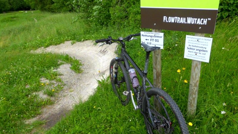 DSCI0131 (800x450).jpg