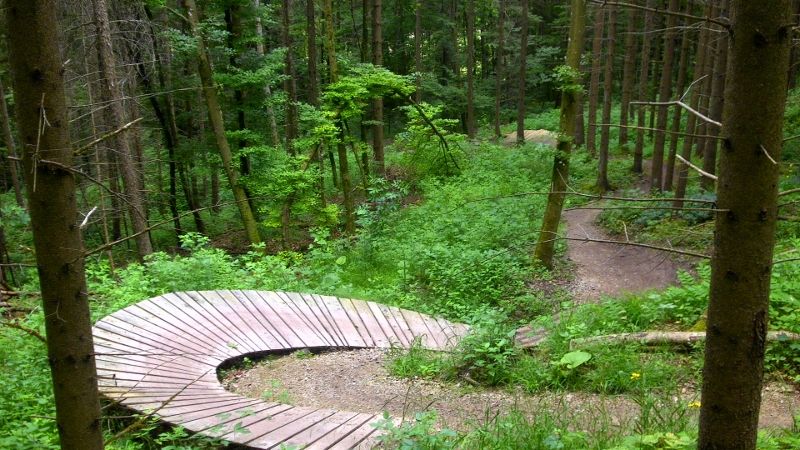 DSCI0135 (800x450).jpg