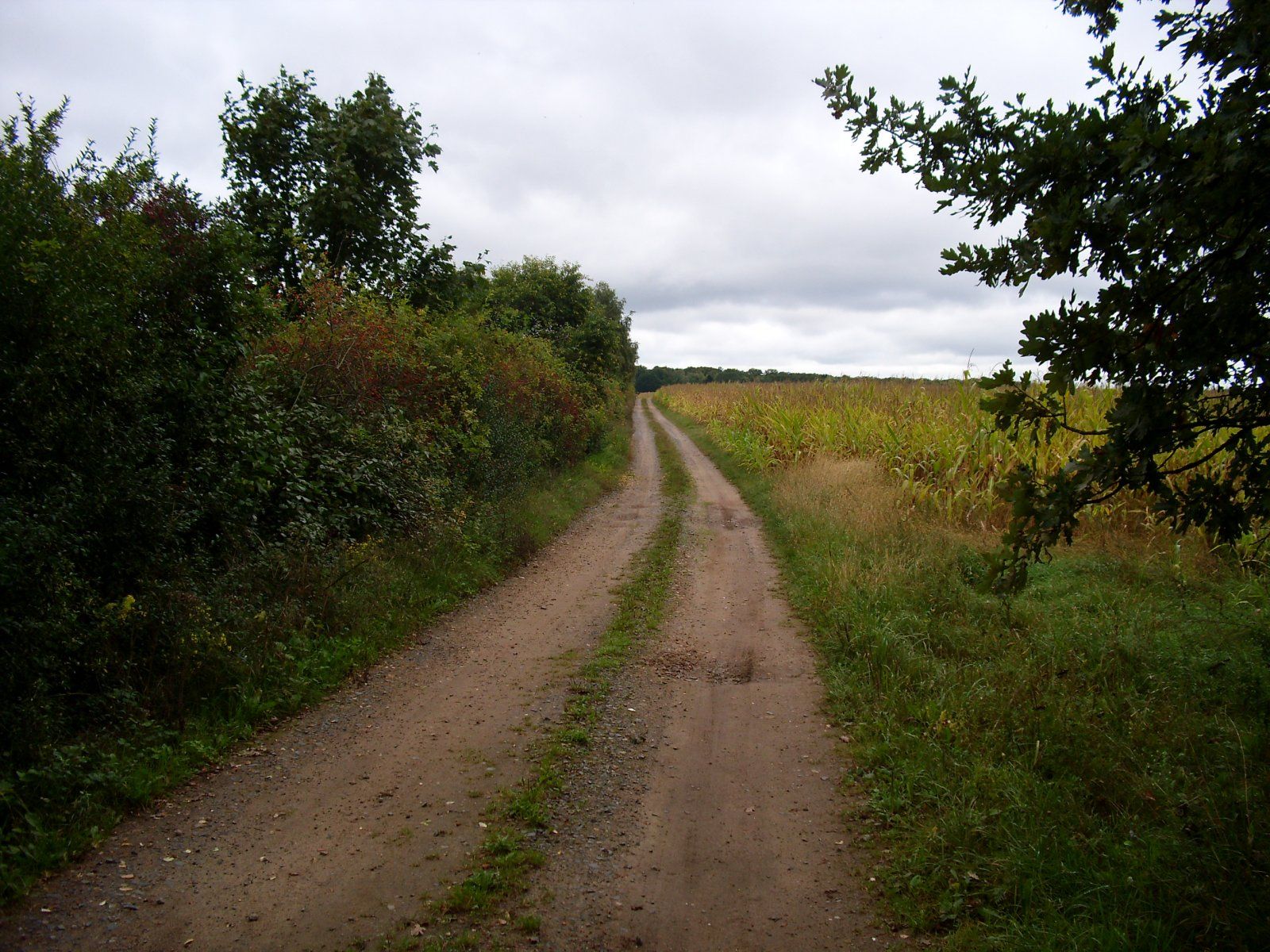DSCI0138.JPG