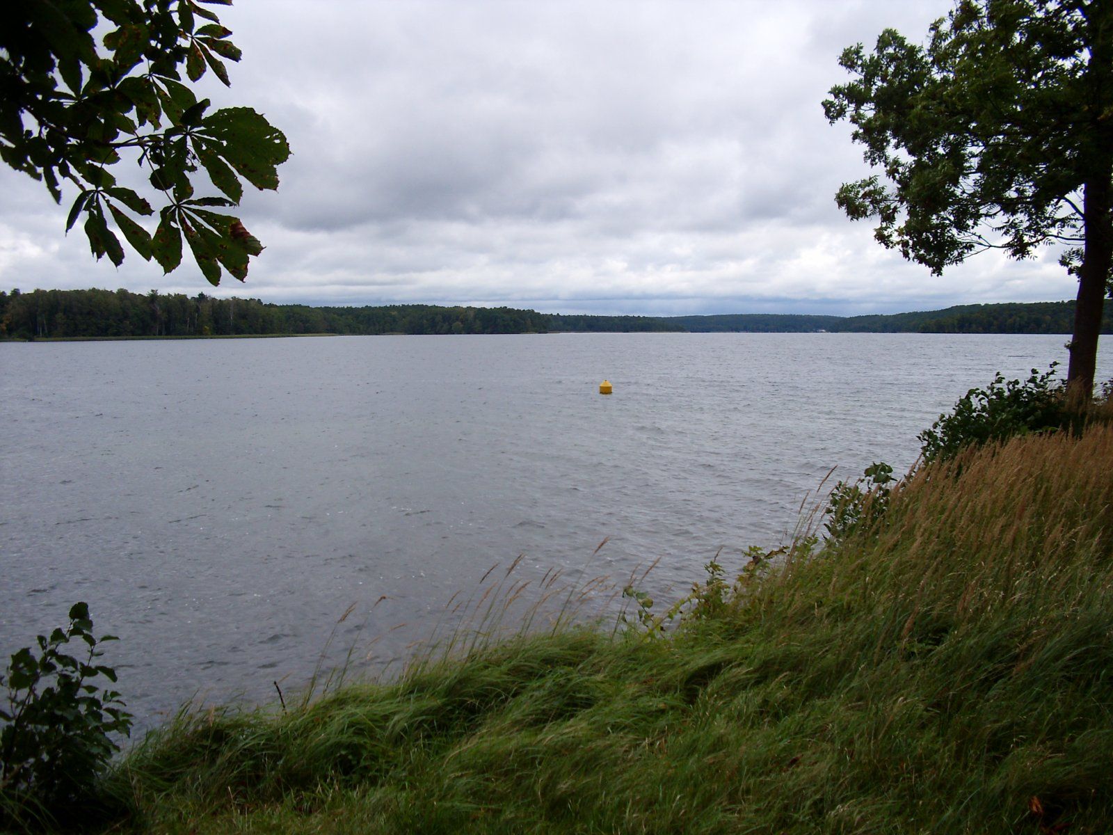 DSCI0146.JPG