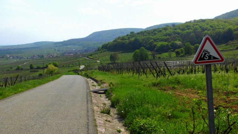 DSCI0180 (800x450).jpg