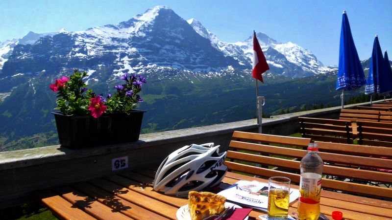 DSCI0358 (800x450).jpg