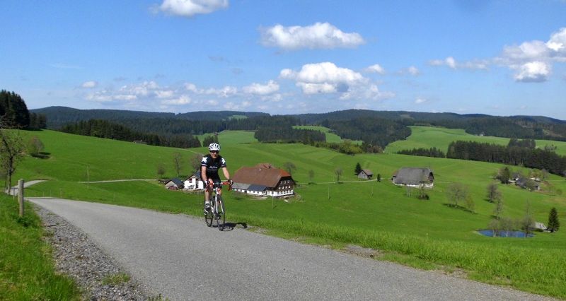 DSCI0389 (800x426).jpg