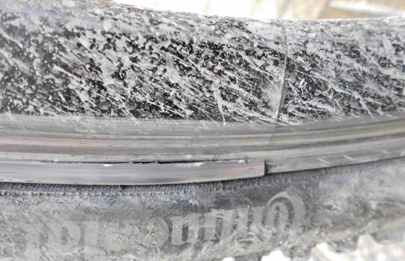 DSCI0425 (800x515).jpg