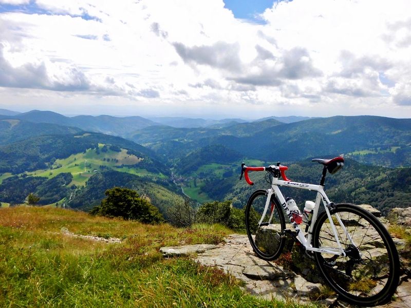 DSCI0453 (800x600).jpg