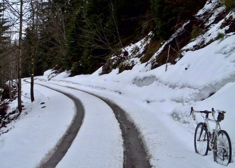 DSCI0499 (800x572).jpg