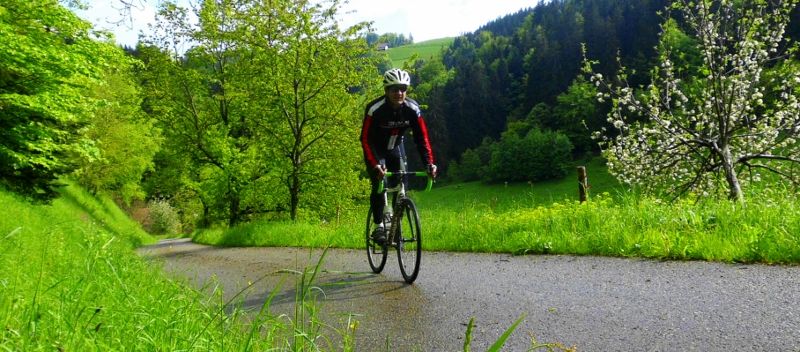 DSCI0525 (800x352).jpg