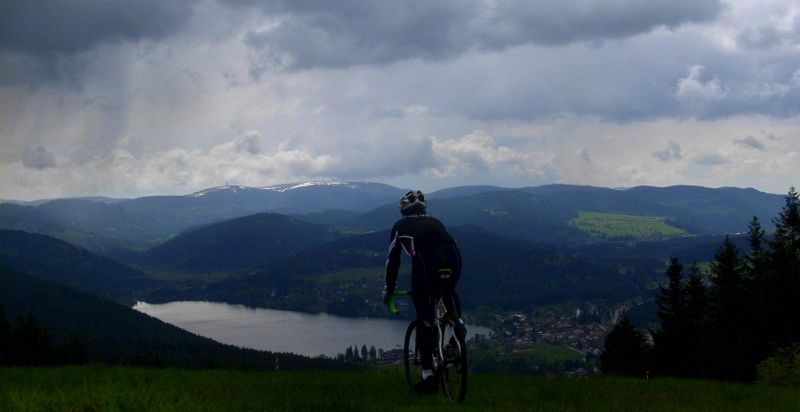 DSCI0590 (800x412).jpg