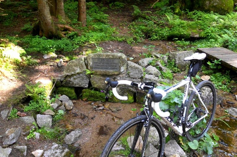 DSCI0664 (800x533).jpg