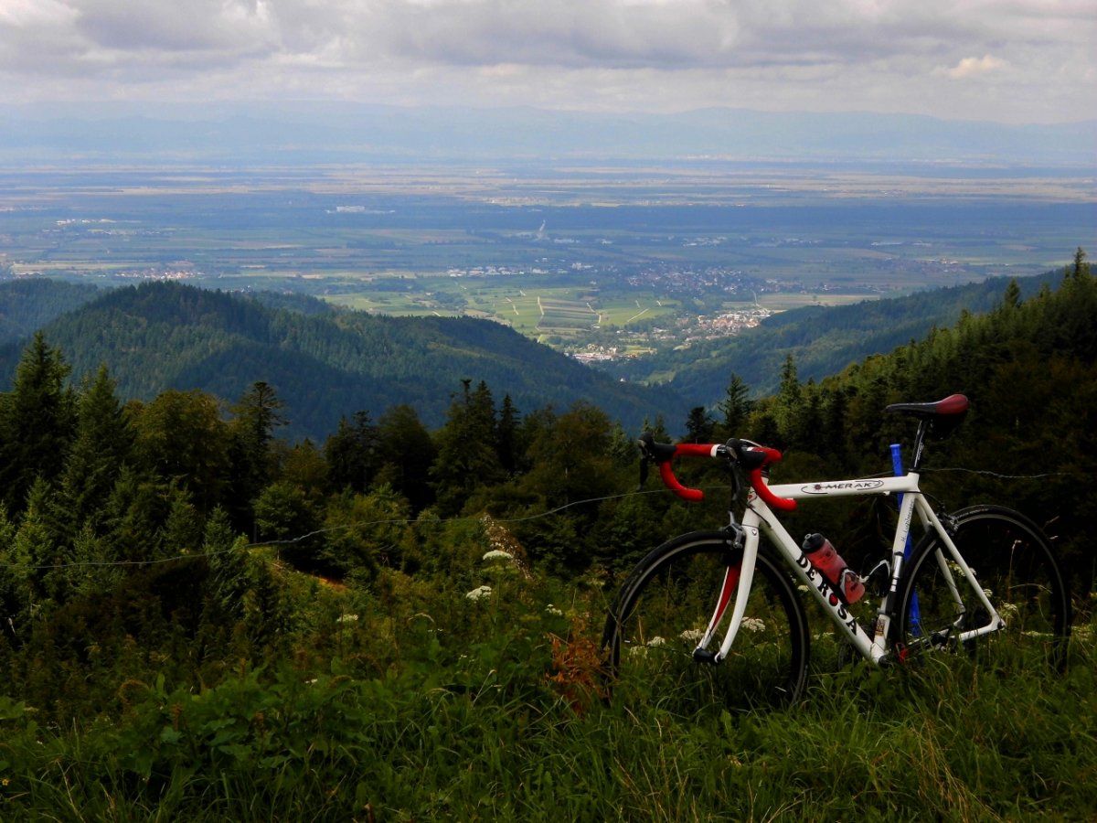 DSCI0681 (1280x960).jpg