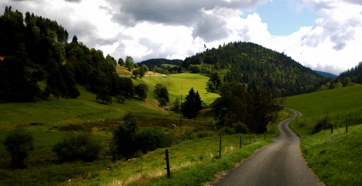 DSCI0695 (1280x658).jpg