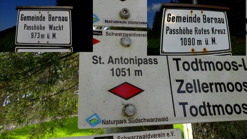 DSCI0806 (800x450).jpg