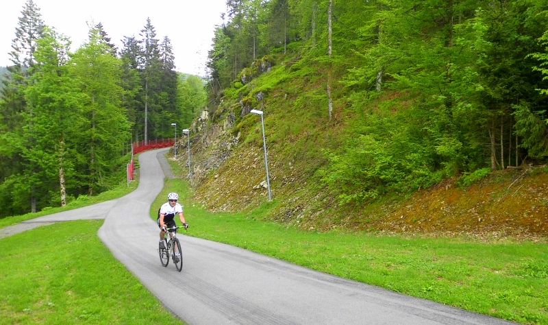 DSCI0977 (800x474).jpg