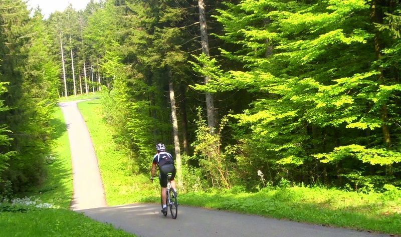 DSCI0986 (800x473).jpg