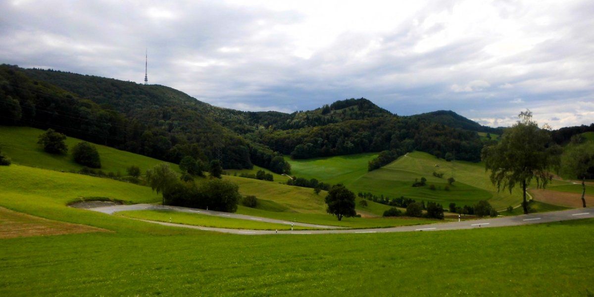 DSCI1022 (1280x640).jpg