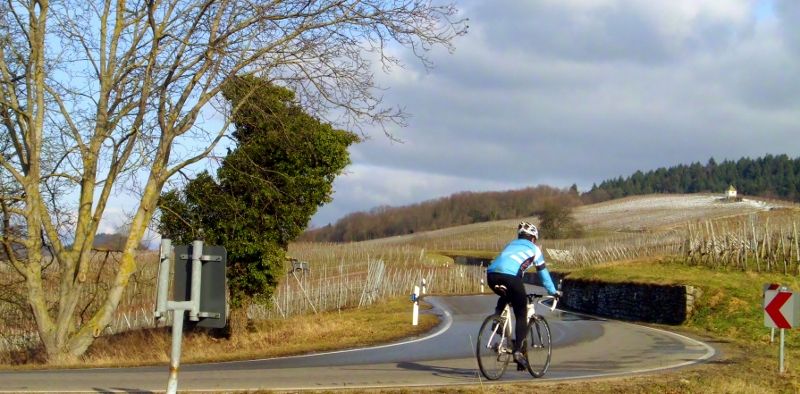 DSCI1303 (800x394).jpg