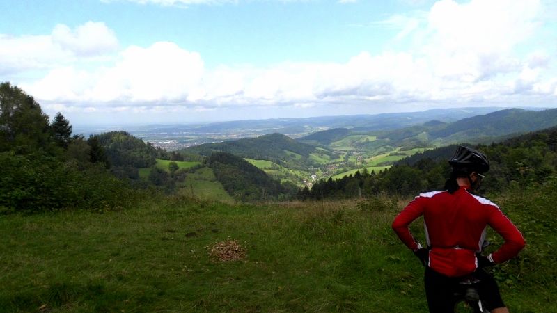 DSCI1310 (800x450).jpg