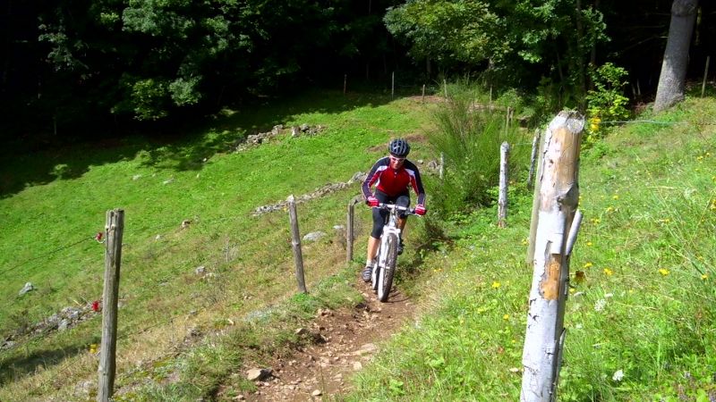 DSCI1314 (800x450).jpg