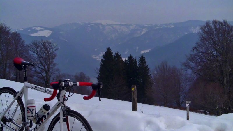 DSCI1331 (800x450).jpg