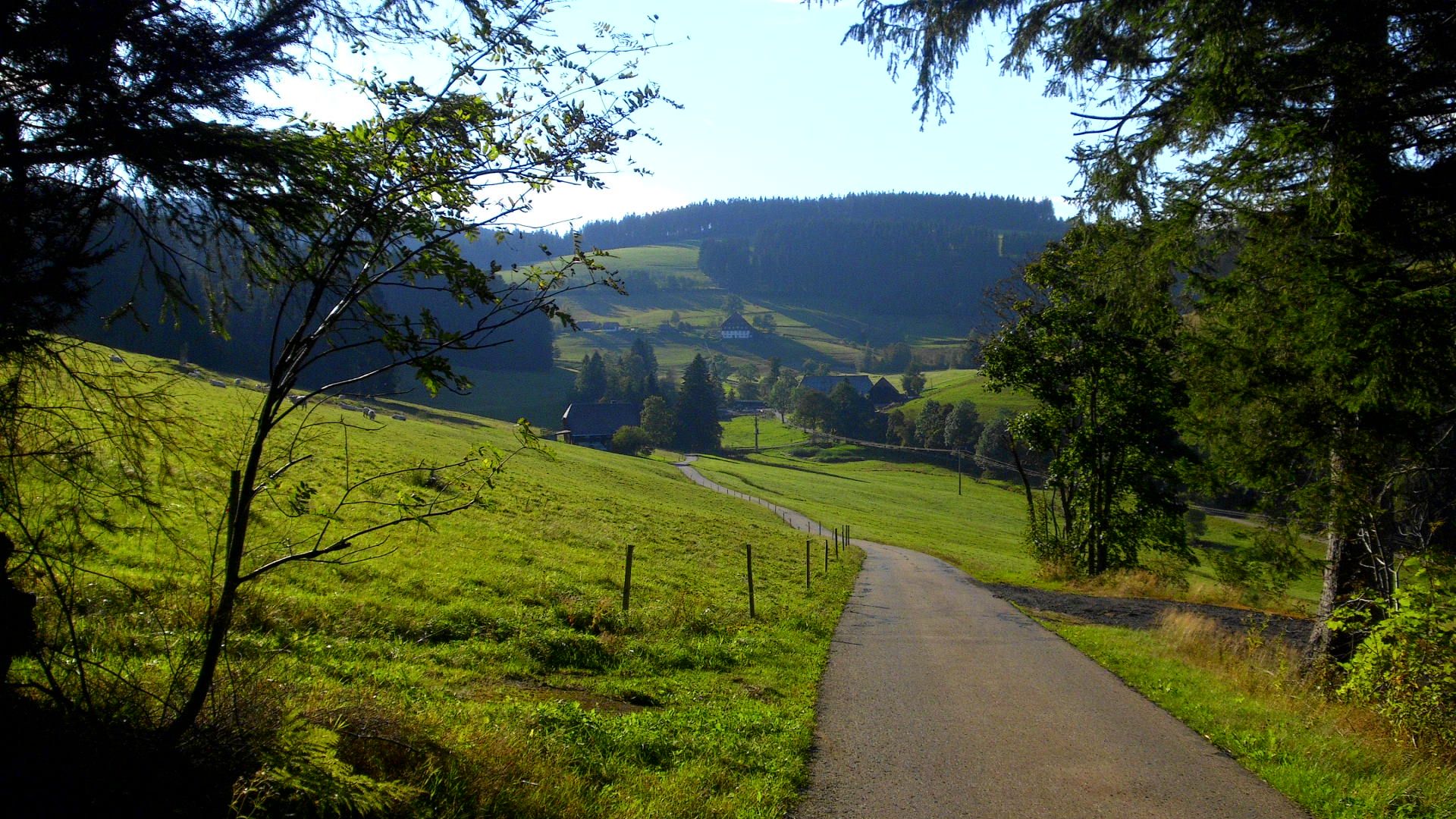 DSCI1524.JPG DSCI1524.JPG