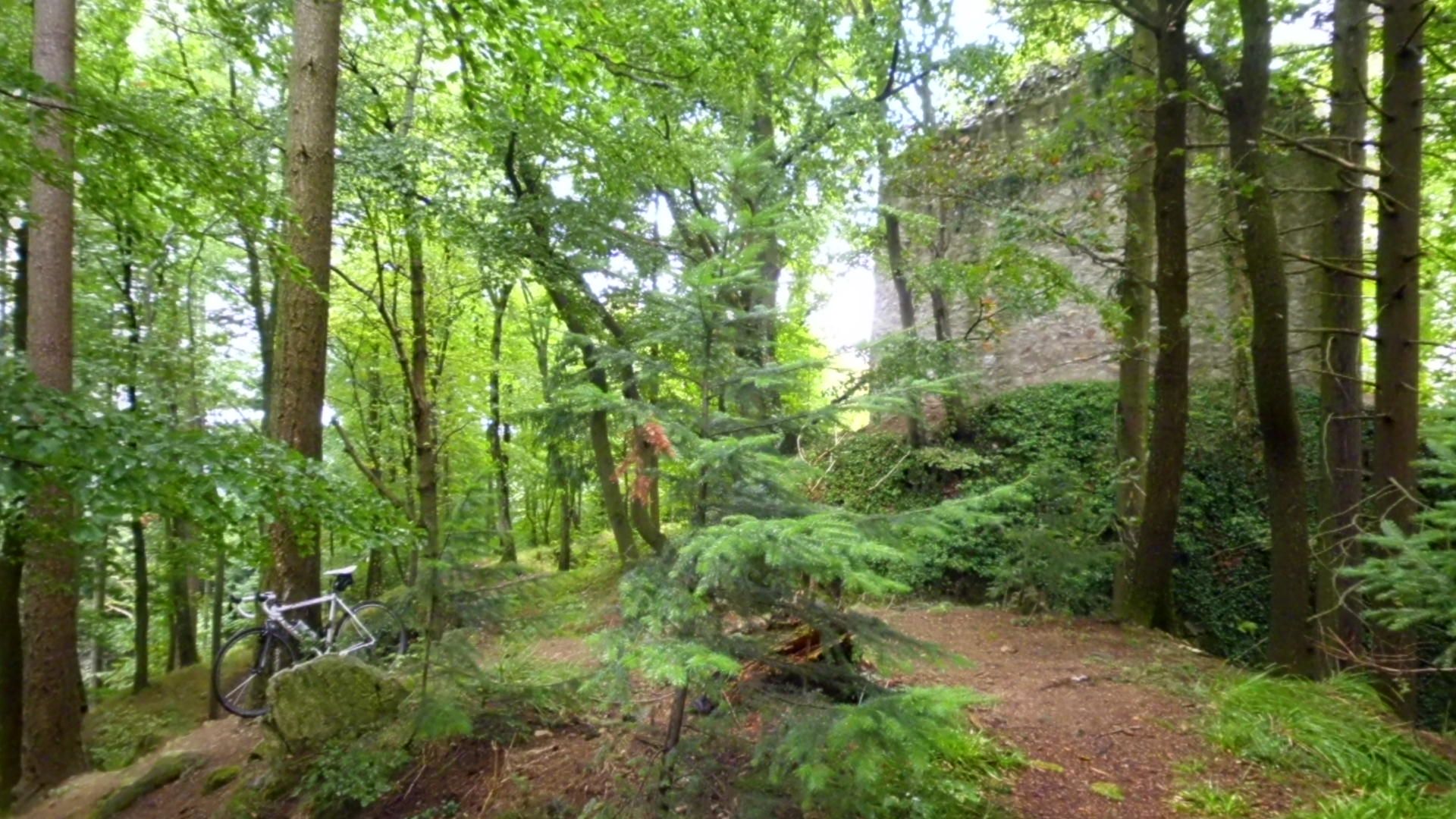 DSCI1593.JPG