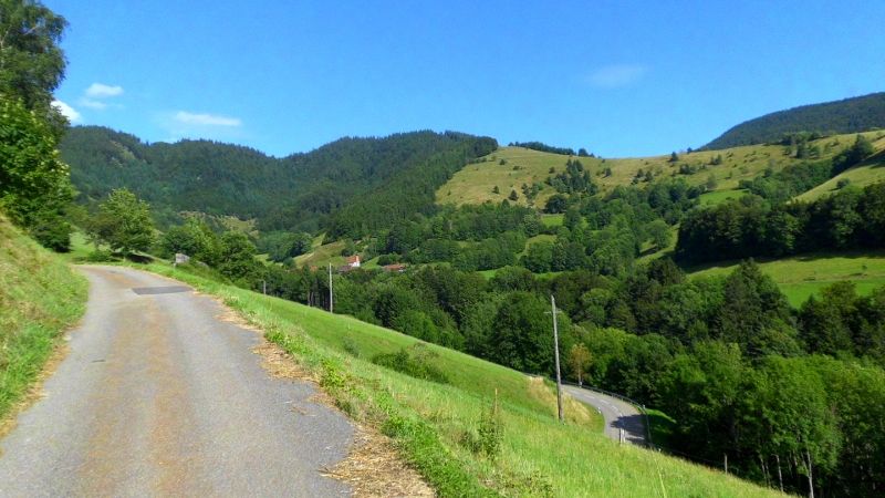 DSCI1718 (800x450).jpg