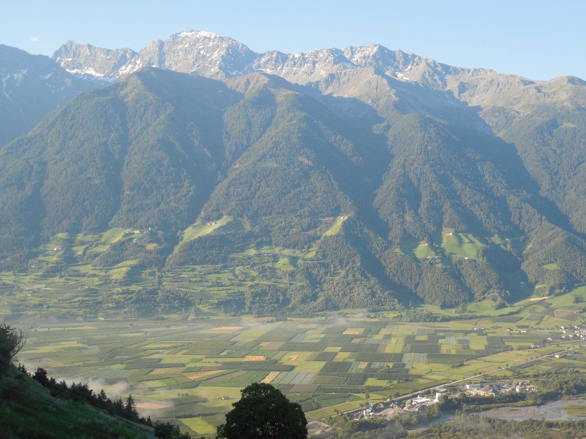 DSCN0095.JPG