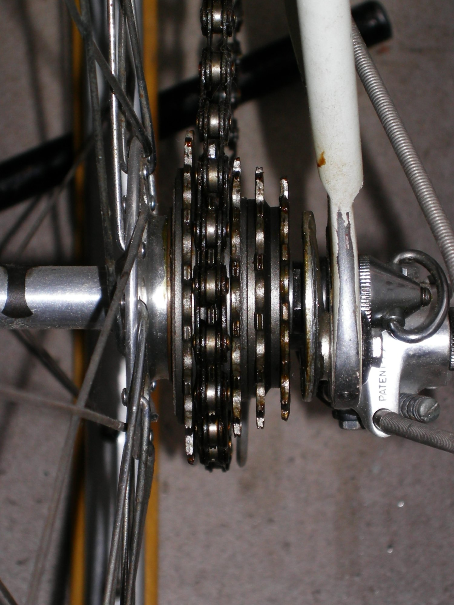 DSCN0448.JPG