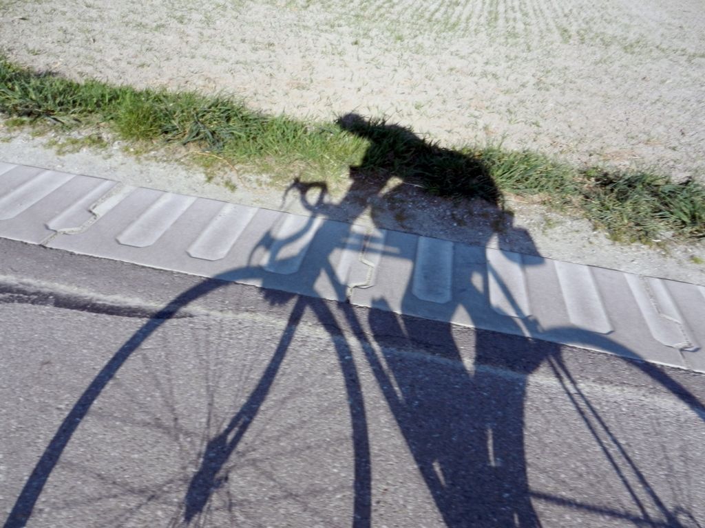 DSCN1201.JPG