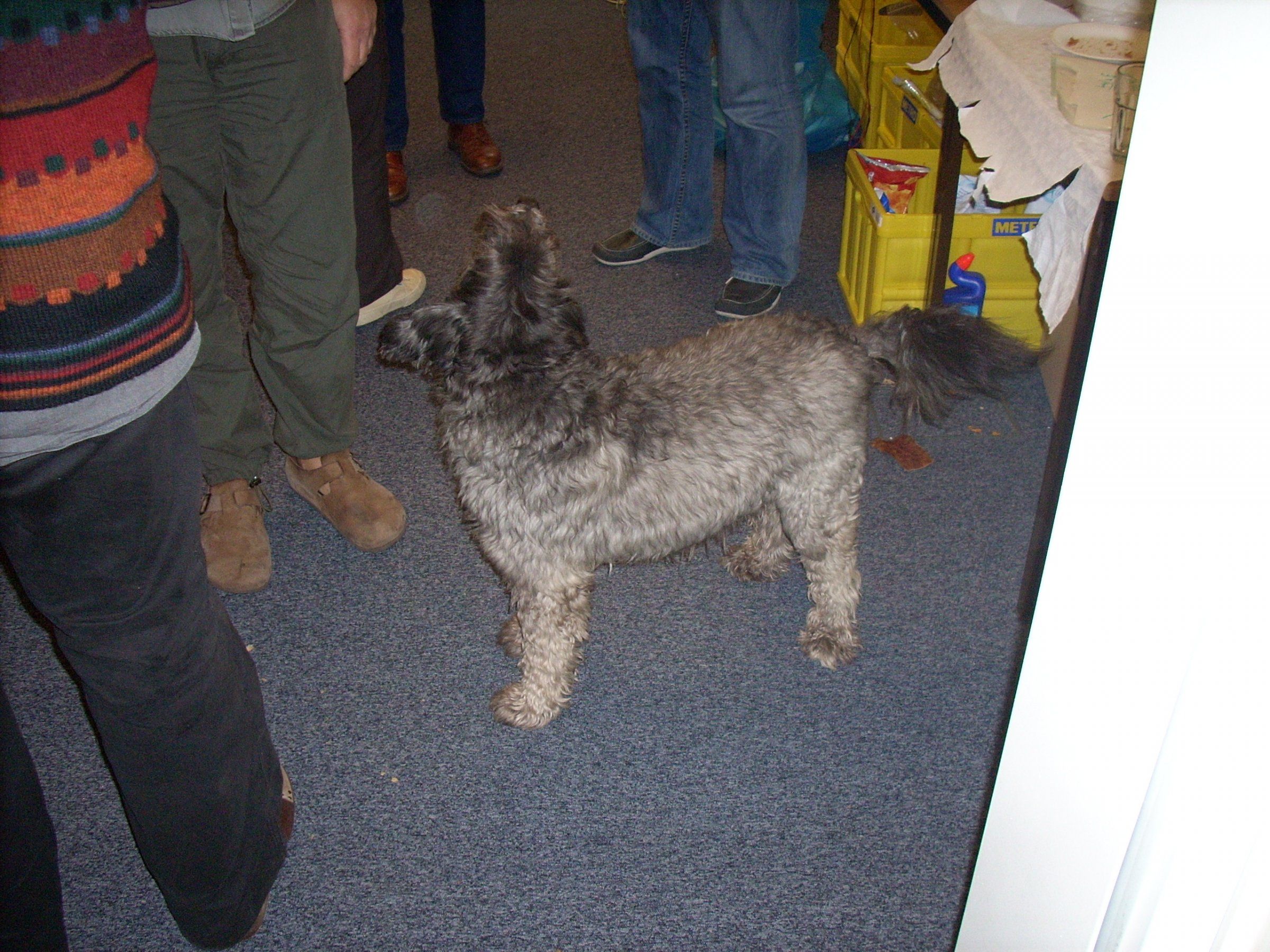DSCN2447.JPG