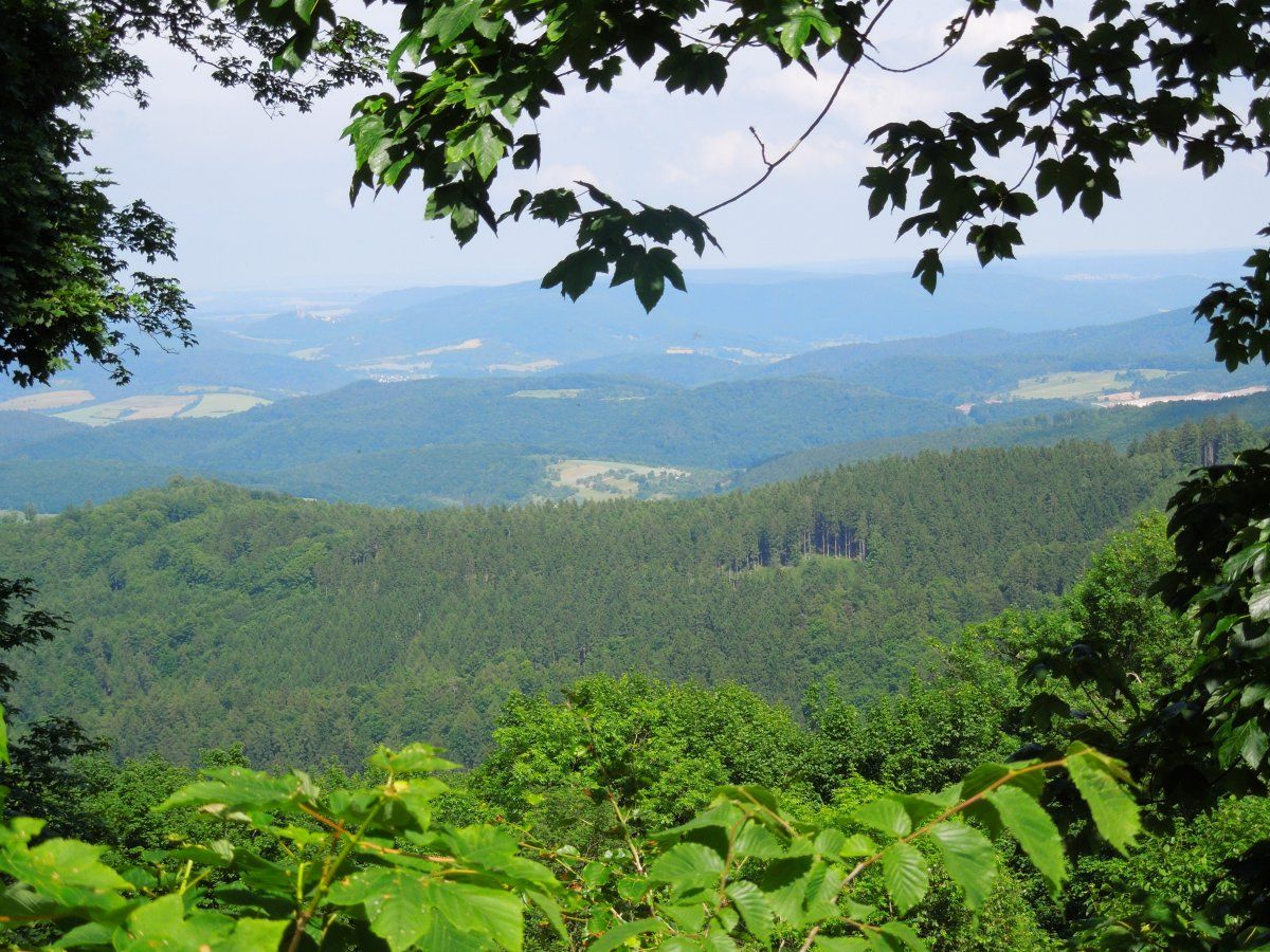 DSCN2629.JPG