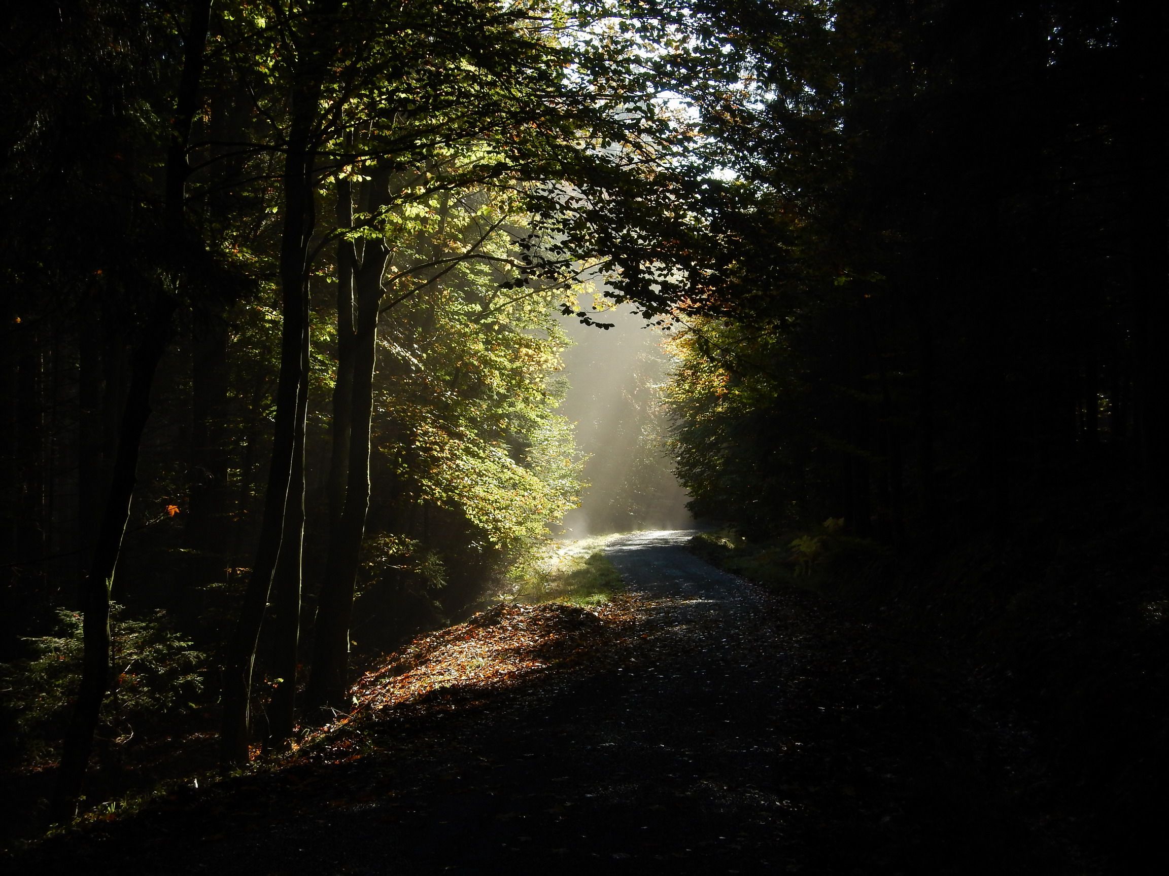 DSCN2857.JPG