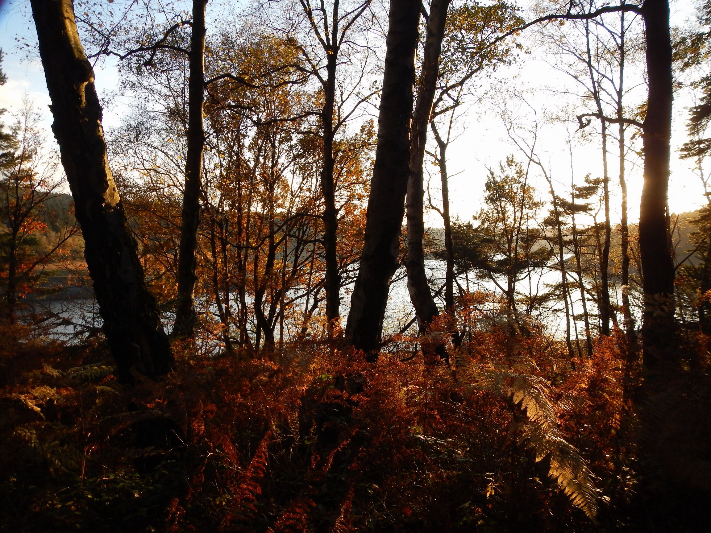 DSCN2911.JPG