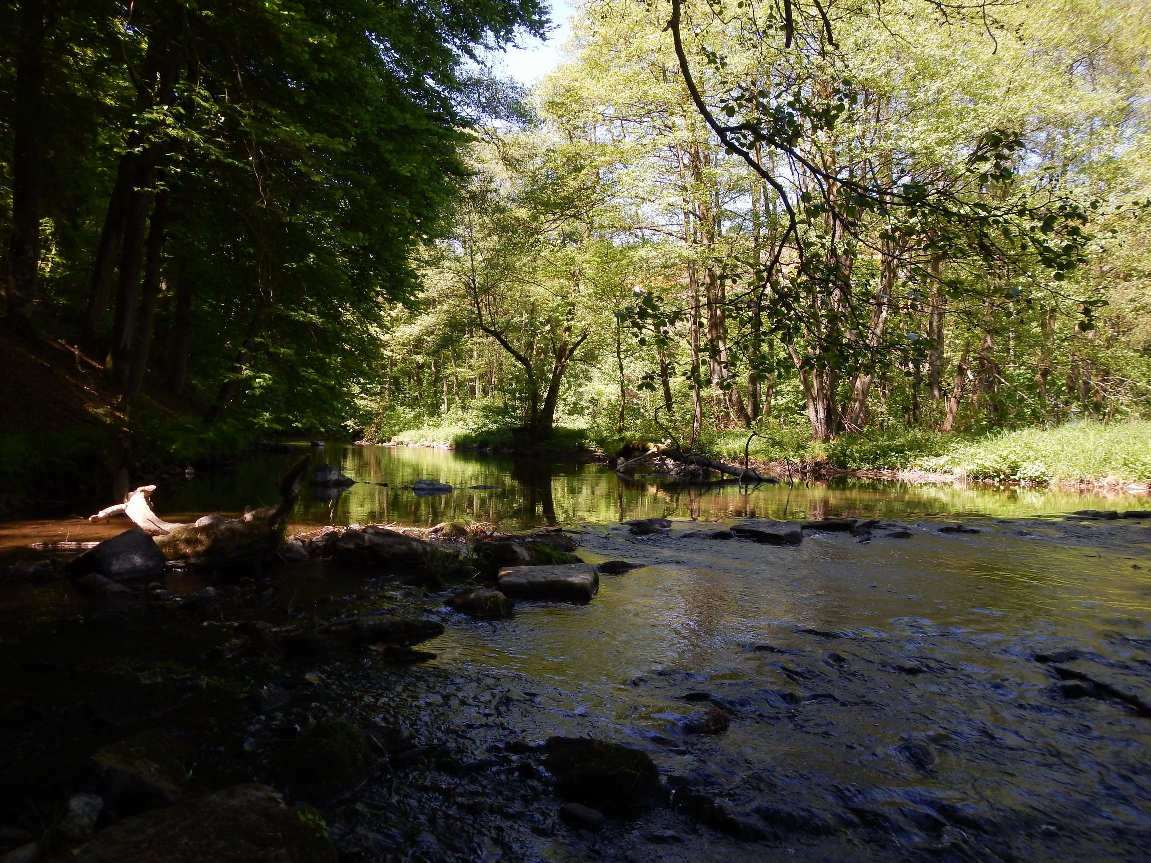 DSCN3276.JPG
