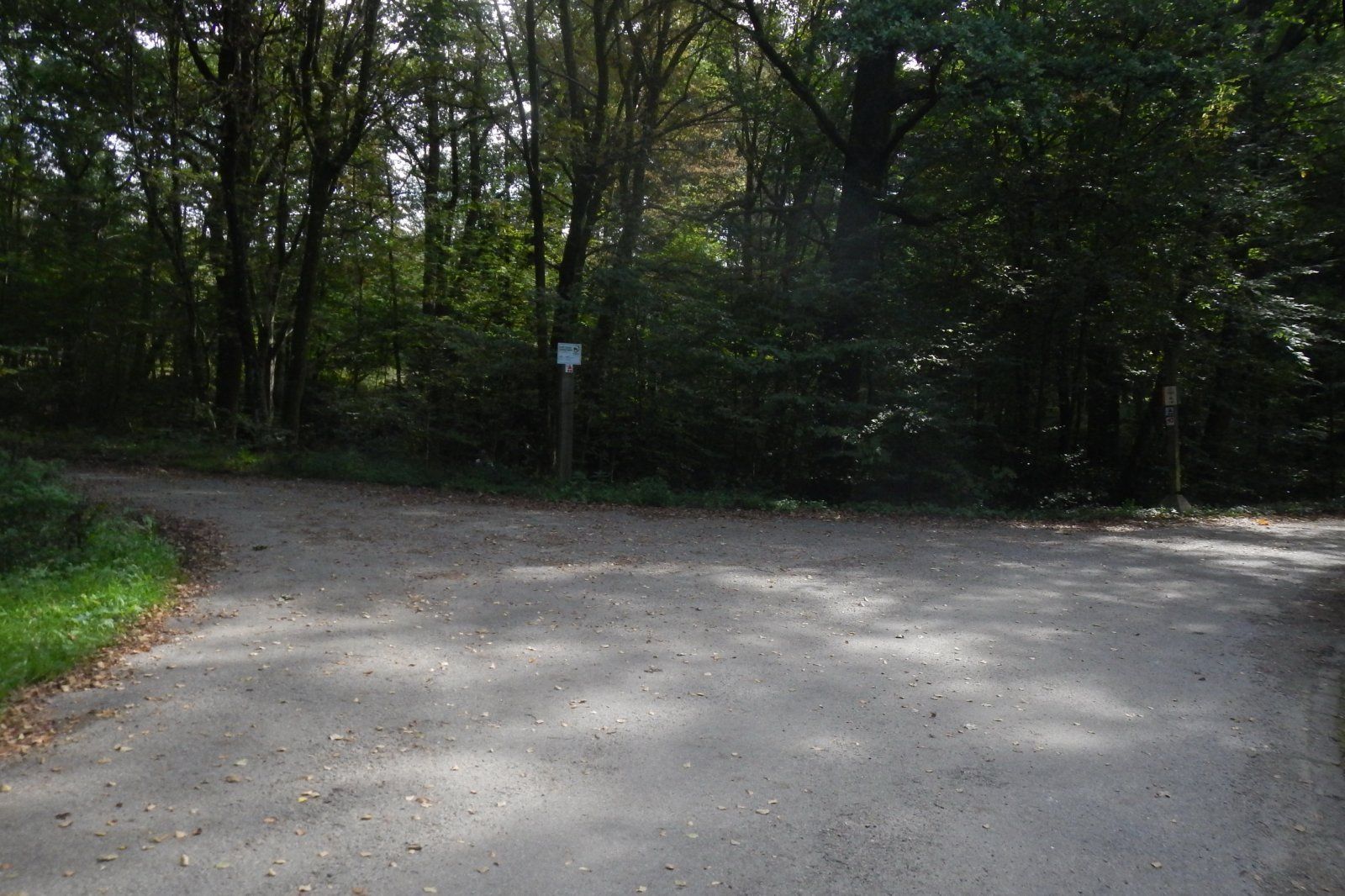 DSCN4368.JPG