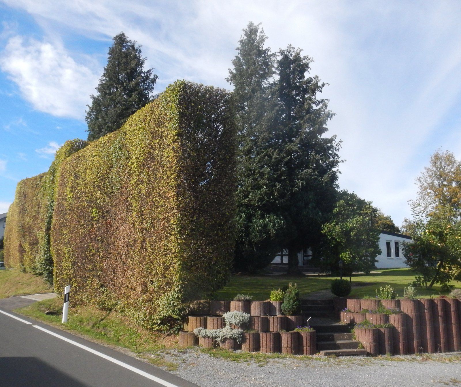 DSCN4374.JPG