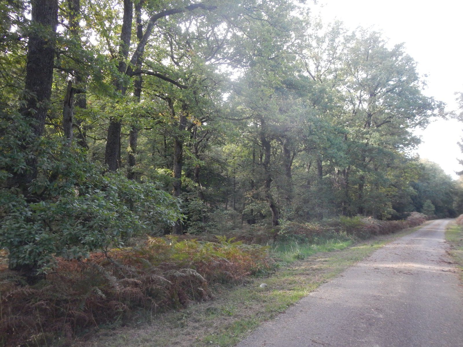 DSCN4377.JPG