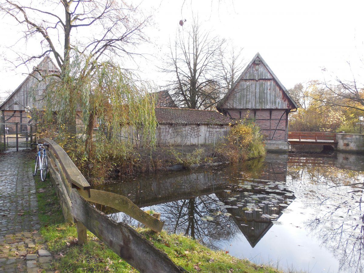 DSCN5196.JPG