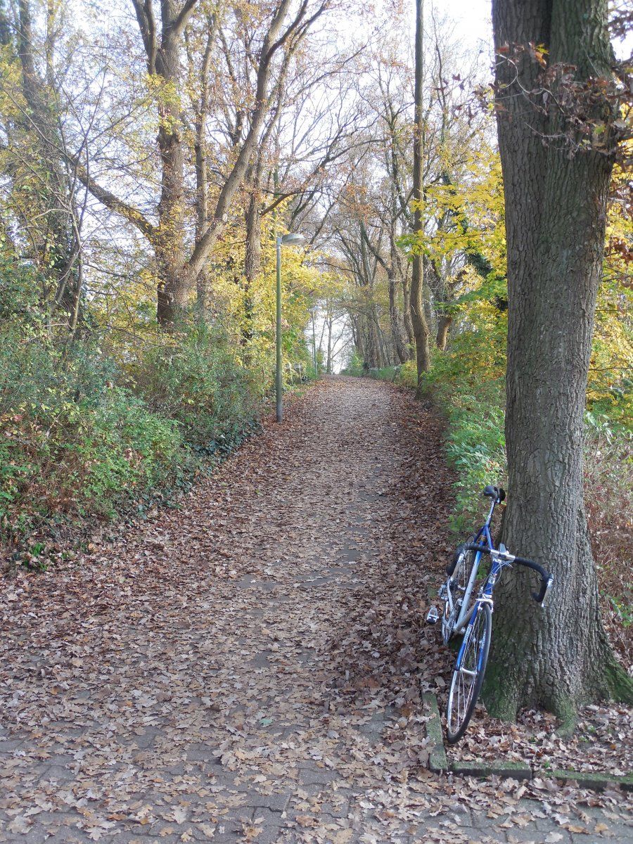 DSCN5200.JPG