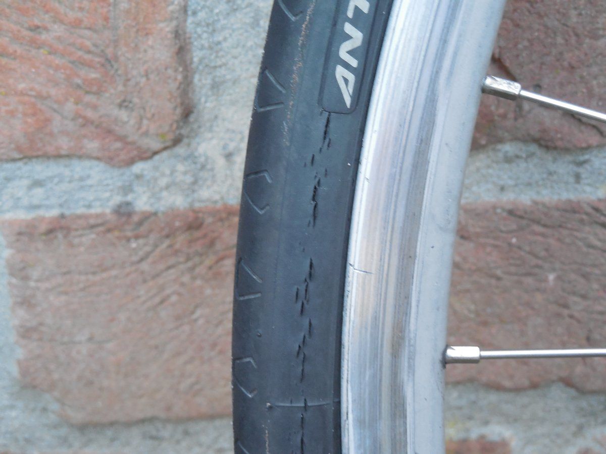 DSCN5291.JPG
