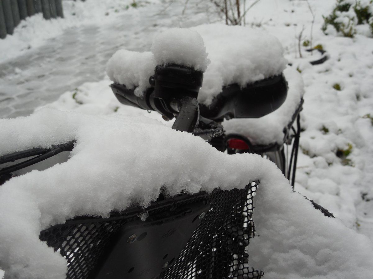 DSCN5331.JPG