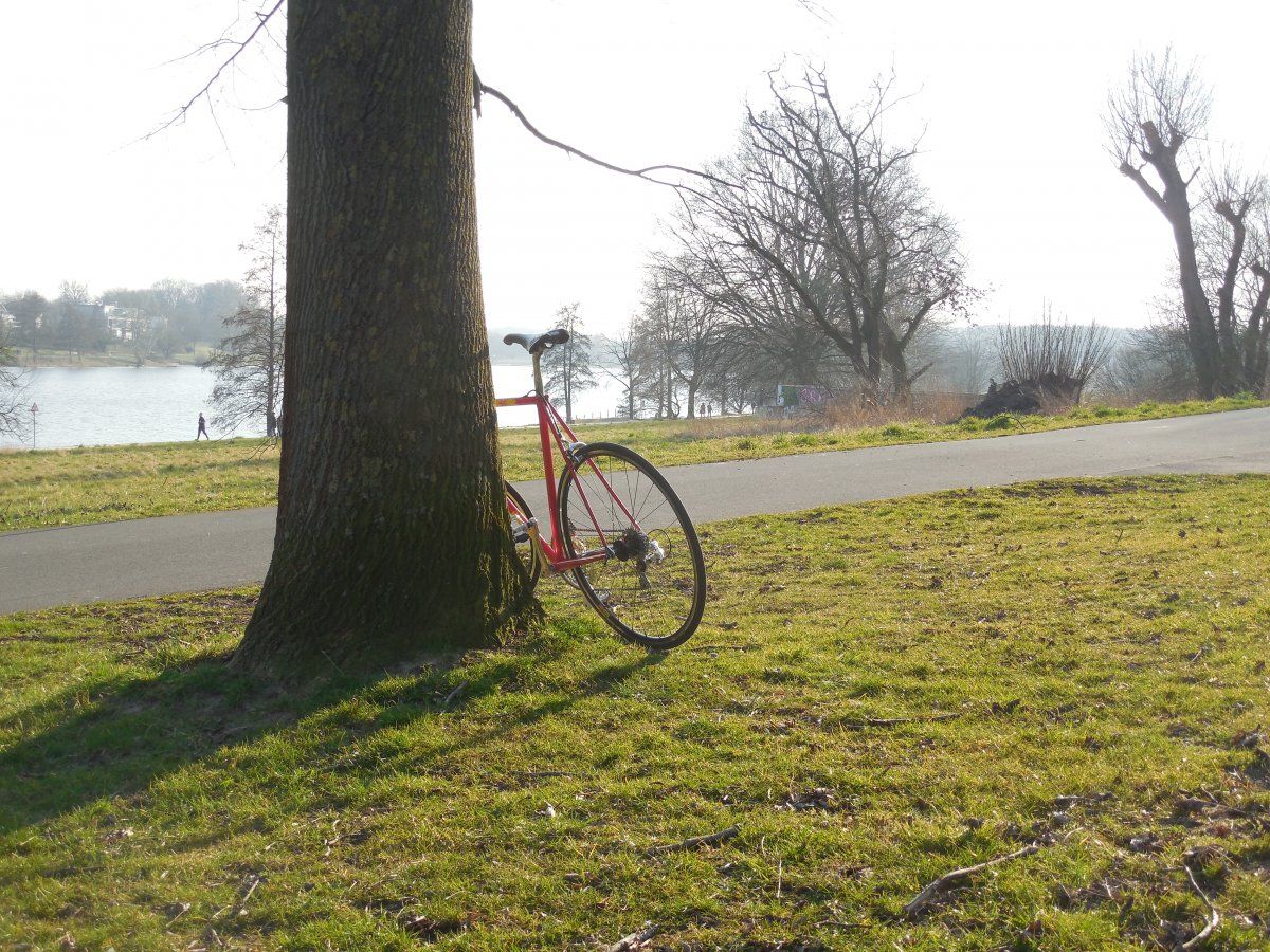 DSCN5515.JPG