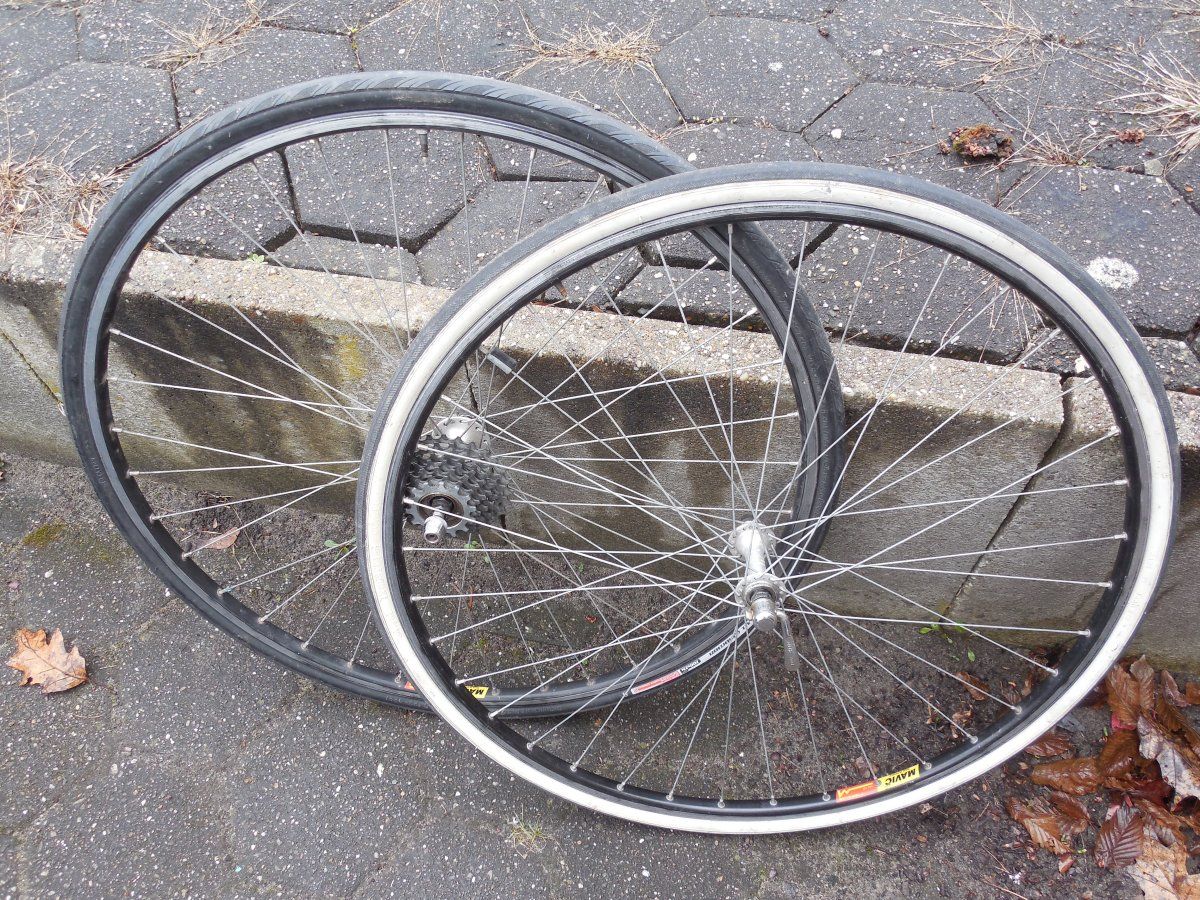 DSCN5575.JPG