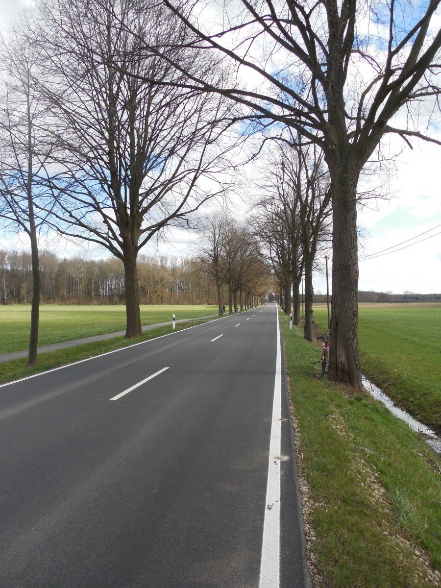 DSCN5646.JPG