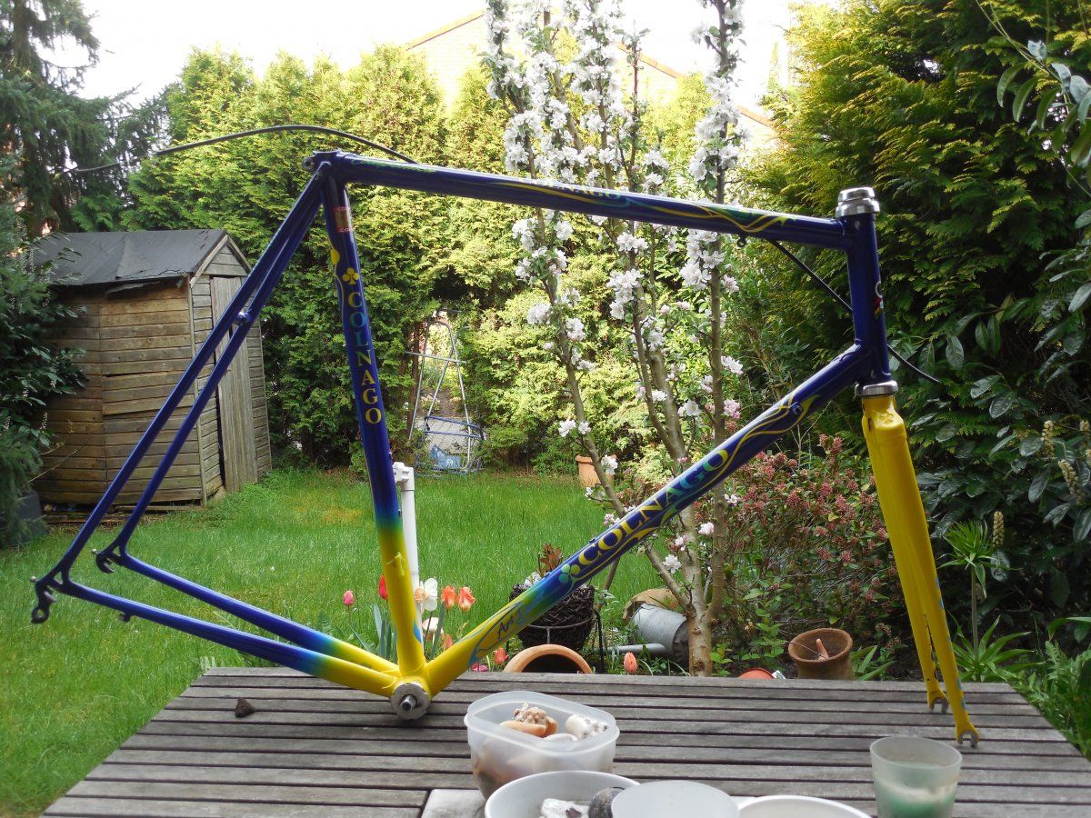 DSCN5710.JPG