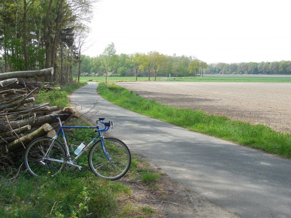 DSCN5729.JPG