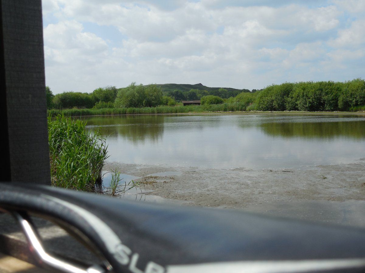 DSCN5782.JPG
