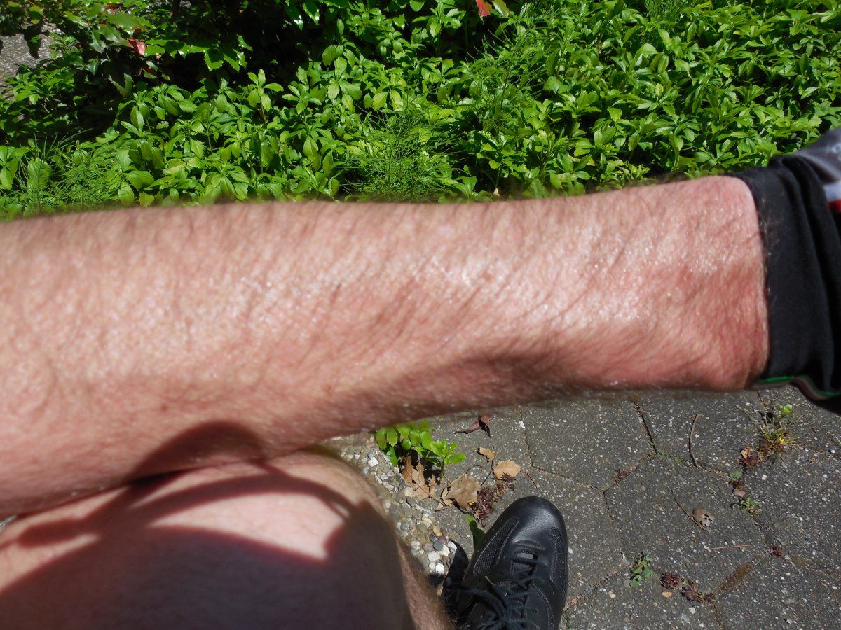 DSCN5796.JPG